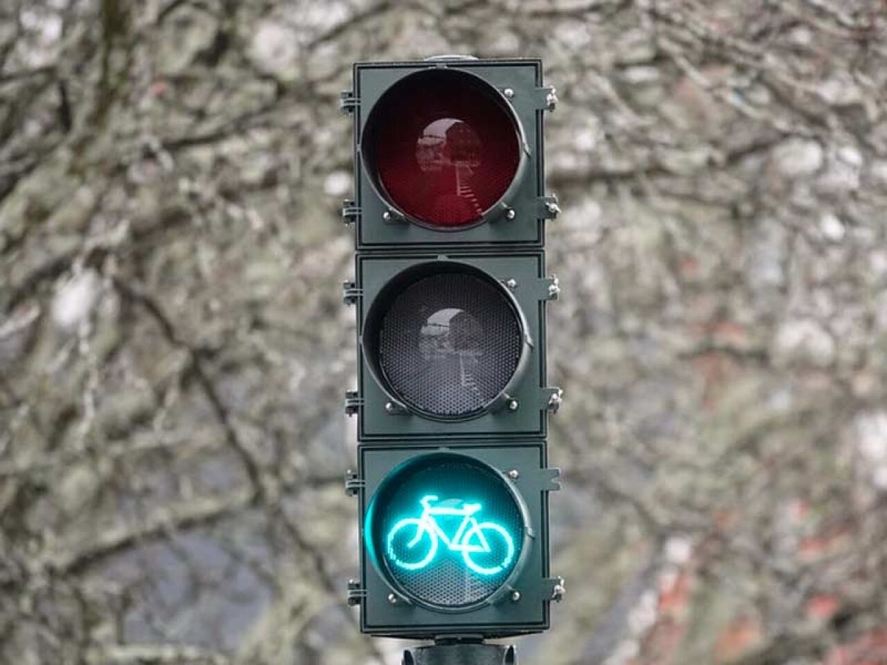 E-Bikes Bring New Safety Challenge to Kingston Streets