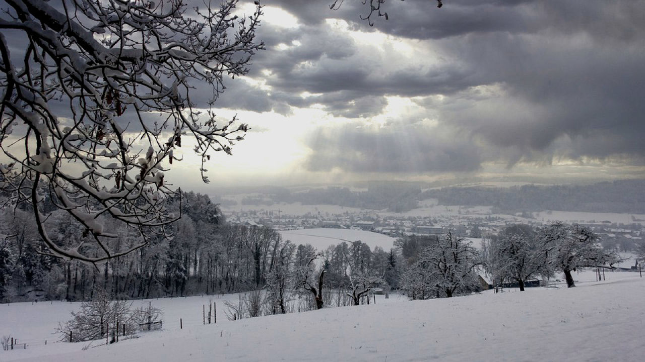 The Farmer's Winter Tale