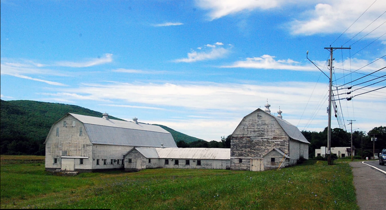 ‘Sun Grown’ Cannabis Seeks Growth at Kelly Farm
