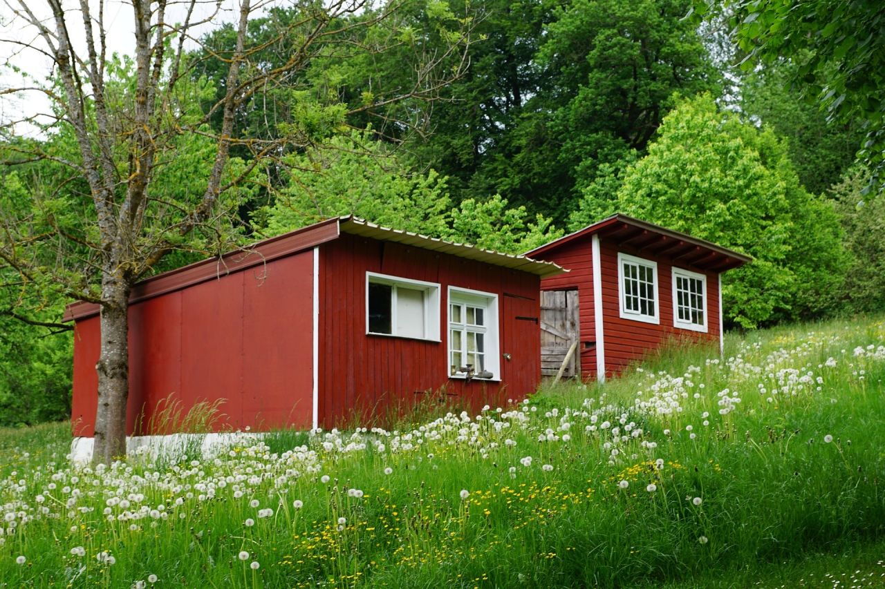 City Pushes 'Plus One' Housing Effort