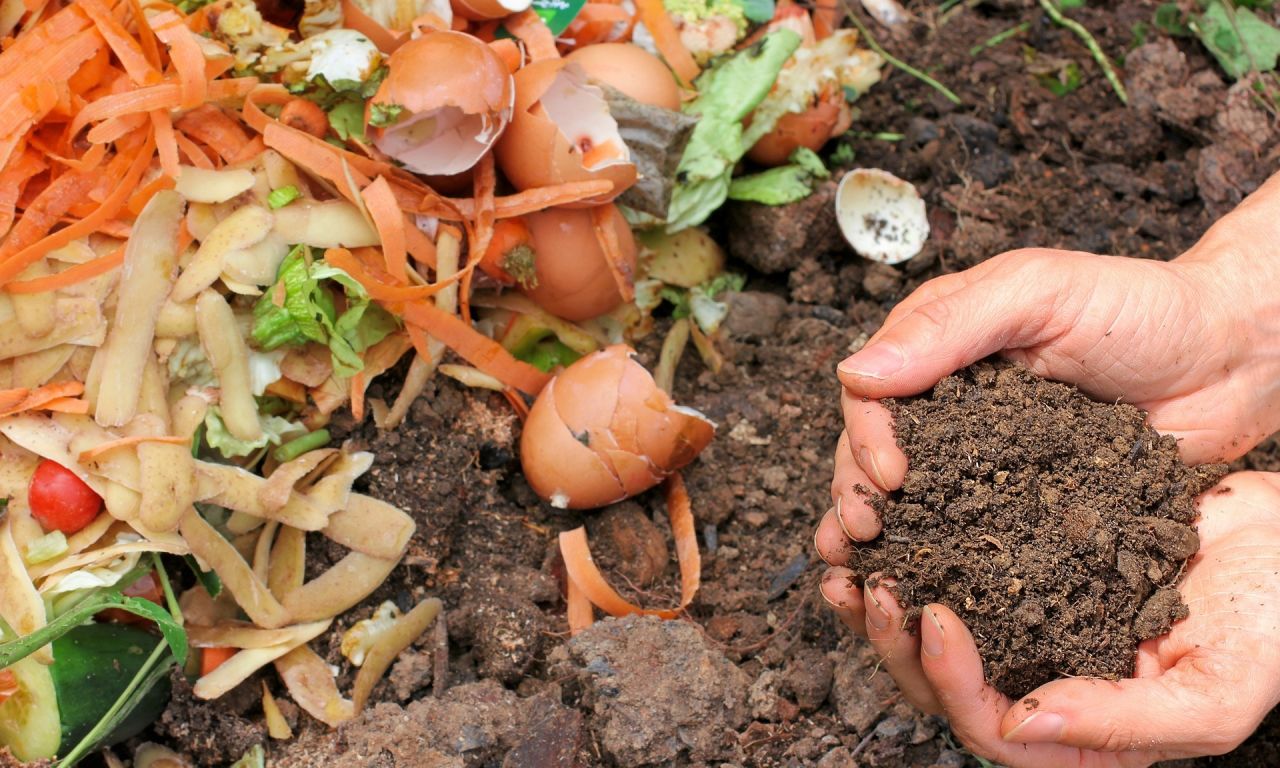 Food Composting Program Aims to Save City Money, Cut Carbon Footprint