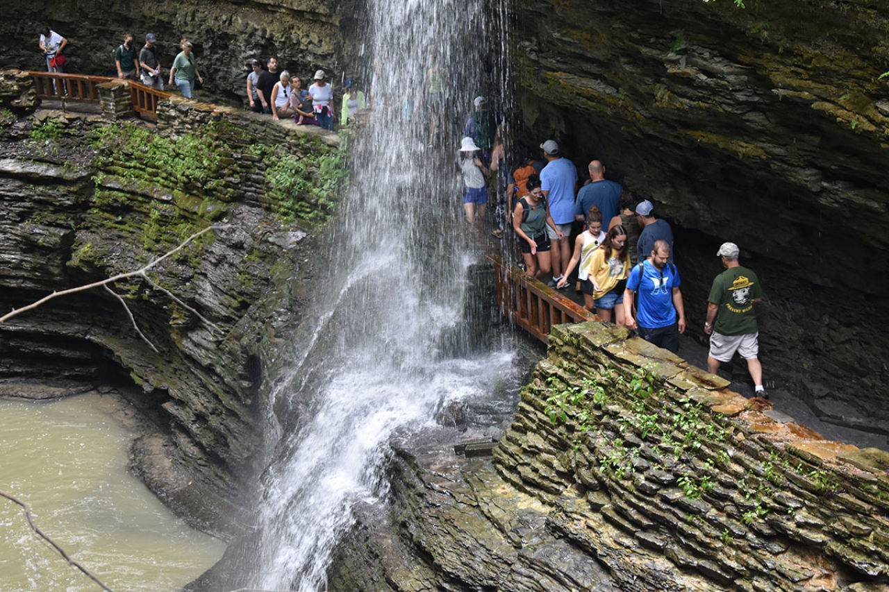 New York Parks See Record-Breaking 84.1M Visitors in 2023
