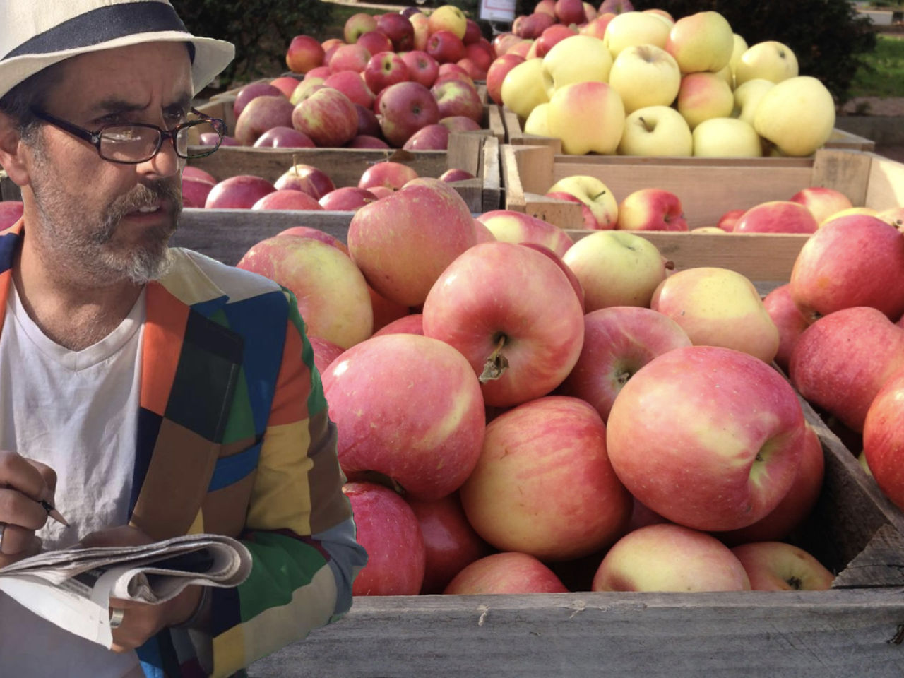 Upstate Living: An Open Letter to the People in Line Behind Me at the Farmer’s Market