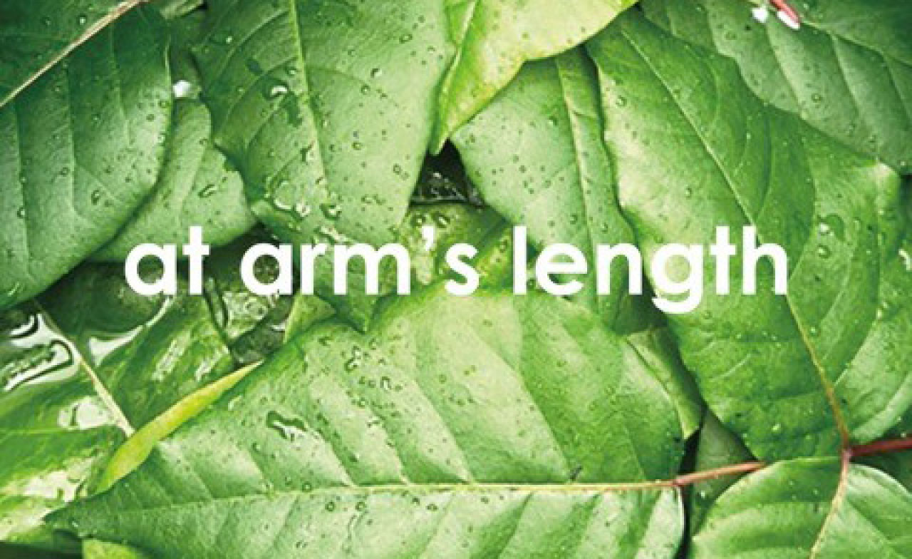 Art Exhibit Elevates Much-Maligned Poison Ivy