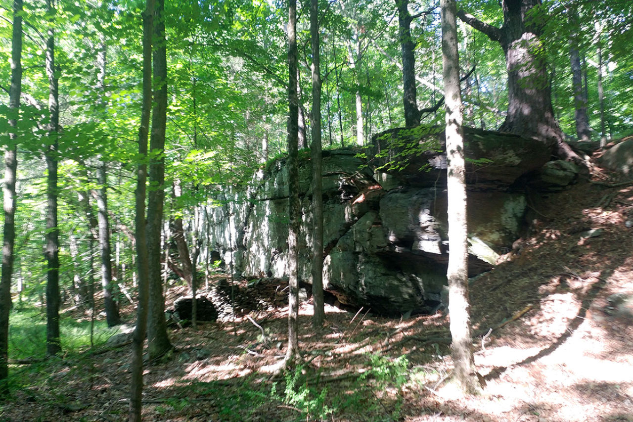 Woodstock Conservancy Secures Funds for New Preserve