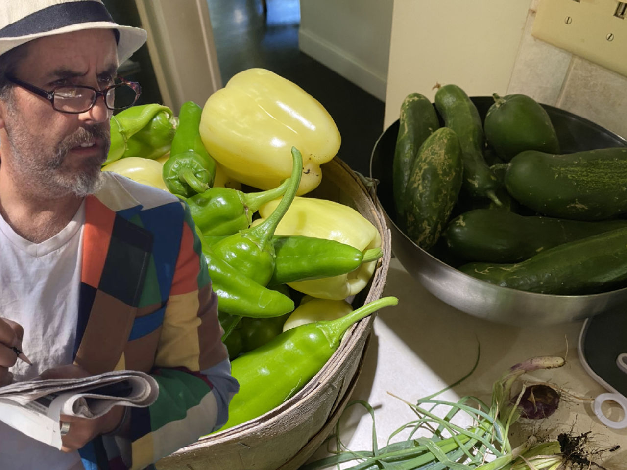 Upstate Living: Reaping What I’ve Sown