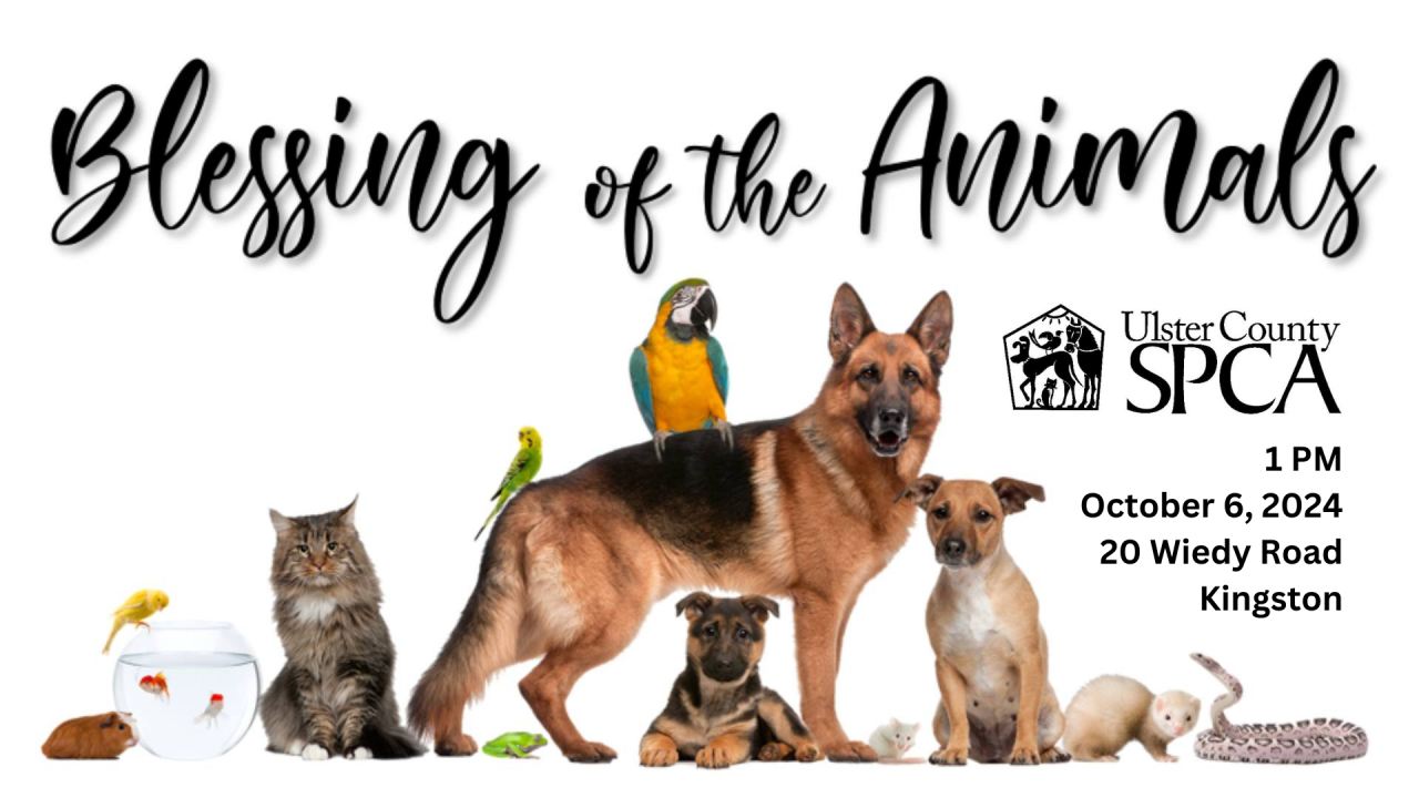 Blessing of the Animals