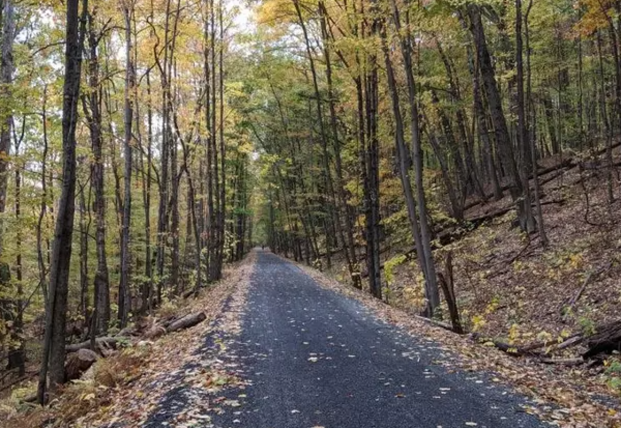 Catskill Mountain Railroad Says It's Targeted for Elimination, But Is It So?