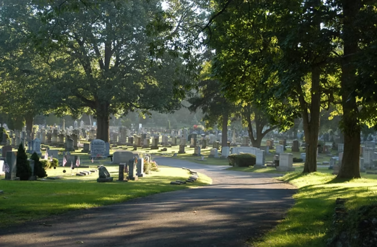 Hounds &amp; Headstones
