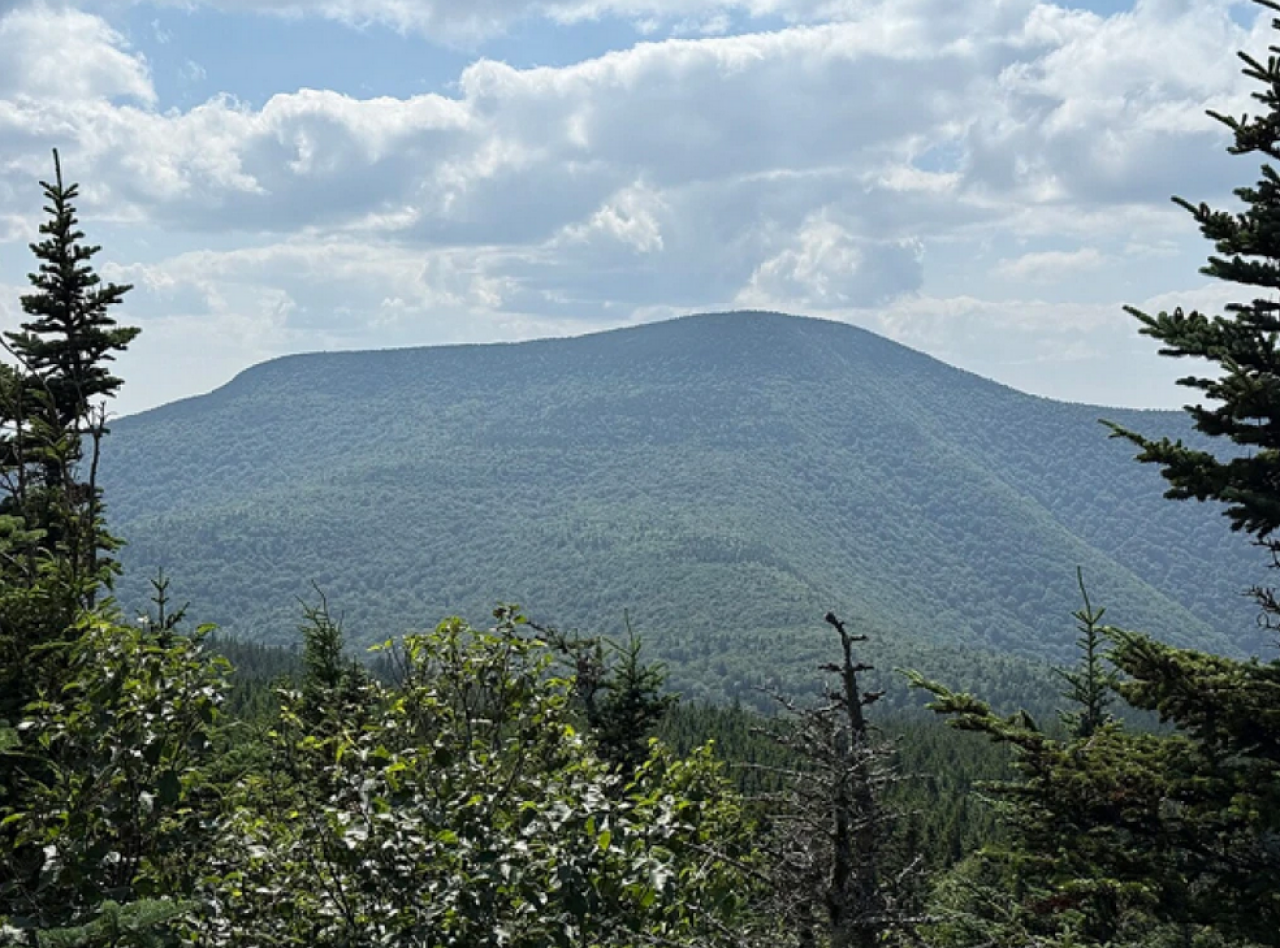Quick Response Saves Hiker with Asthma Attack on Slide Mountain