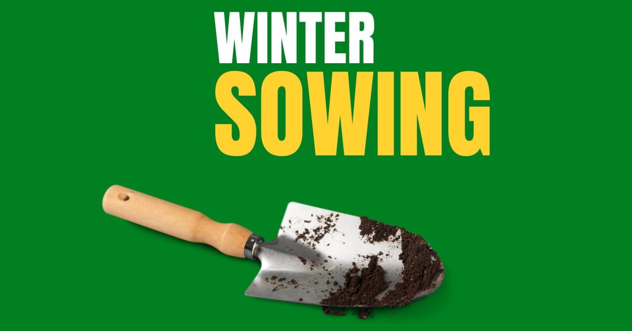 Winter Sowing